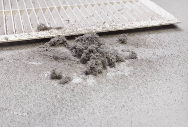Best Air Vent Cleaning Services  in Billings, MT