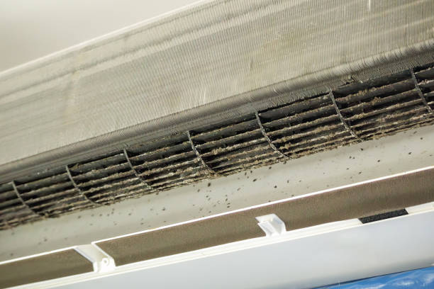 Best Professional Duct Cleaning Services  in Billings, MT